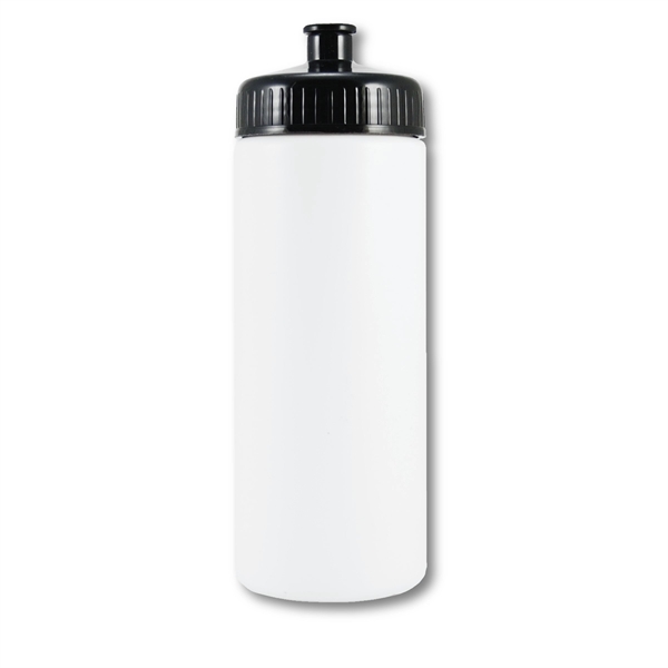 Giveaway Insulated Sport Bottles (16 Oz.)