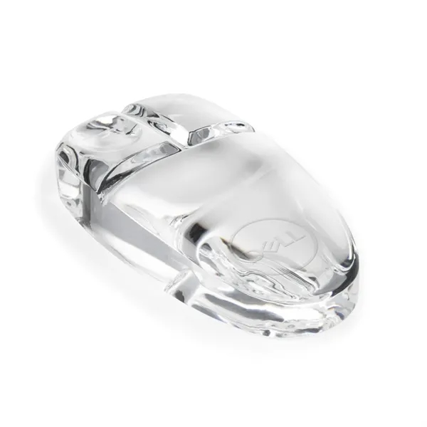 Custom Computer Mouse Paperweight