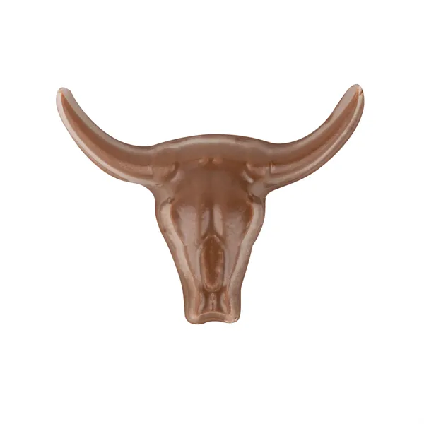 2oz Chocolate Texas Gift Box