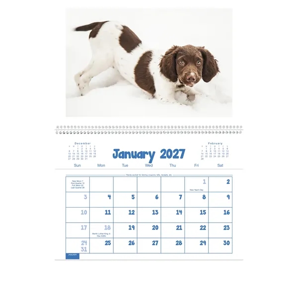 Triumph® Calendars Puppies & Kittens Pocket Calendar