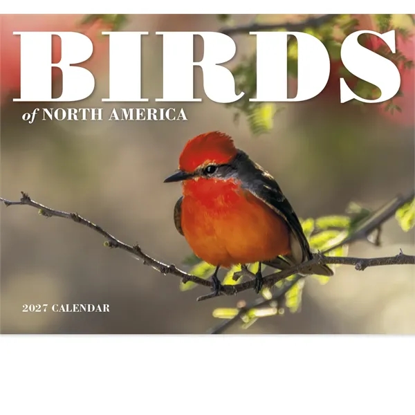 Good Value™ Birds of North America - Stapled Calendar