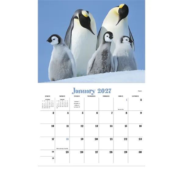 Products Animal Babies Appointment Calendar - Stapled