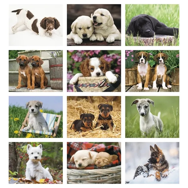 Triumph® Calendars Puppies Calendar