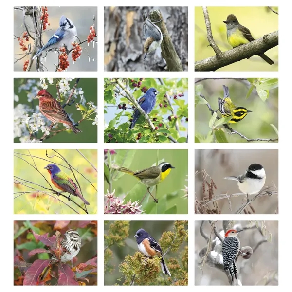 Triumph® Calendars Birds Calendar