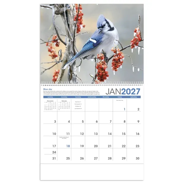 Triumph® Calendars Birds Calendar
