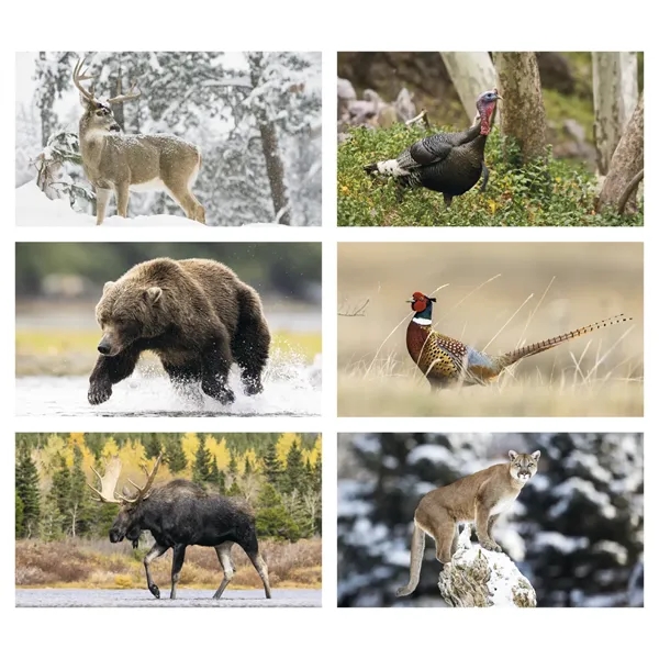 Triumph® Calendars Wildlife Calendar