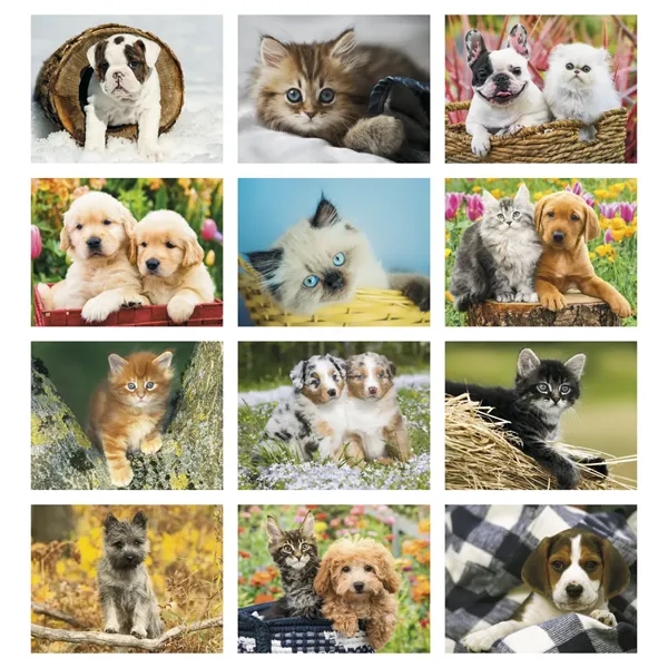 Products Four Paws Appointment Calendar - Spiral