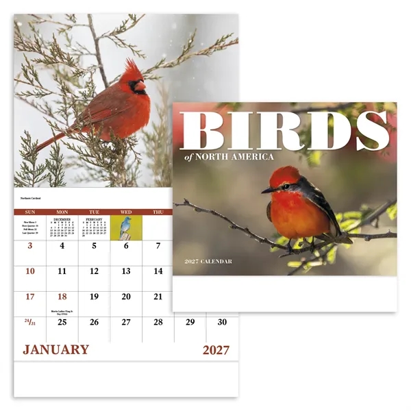 Good Value™ Birds of North America - Stapled Calendar
