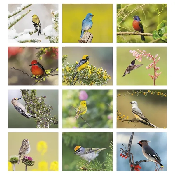 Good Value™ Birds of North America - Stapled Calendar
