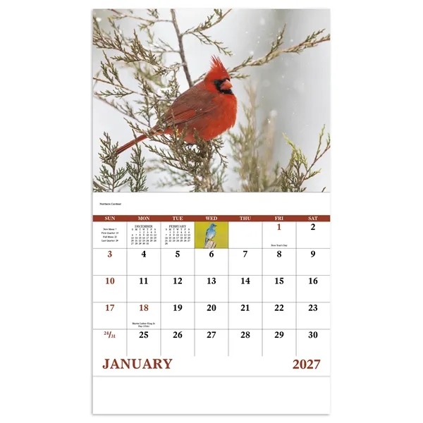 Good Value™ Birds of North America - Stapled Calendar