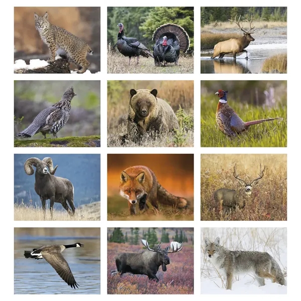 Good Value™ Wildlife Portraits - Stapled Calendar