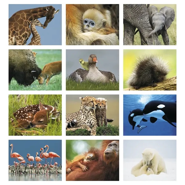 Products Animal Babies Appointment Calendar - Stapled