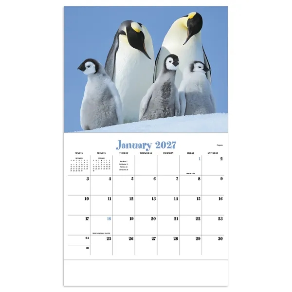 Products Animal Babies Appointment Calendar - Stapled