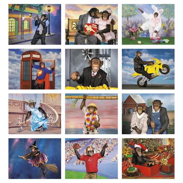 Triumph® Calendars Monkey Business Calendar