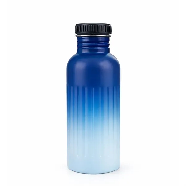 S/S Color Changing  Water Bottle - 18oz
