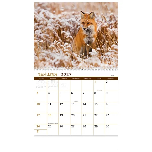 Wildlife Wall Calendar: 2027 Spiral Bound