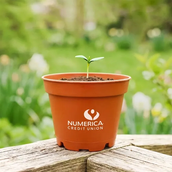 Terra Cotta Planter Kits