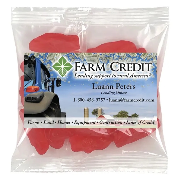 Small Snack Bag with Rectangle Magnet Standard Fill