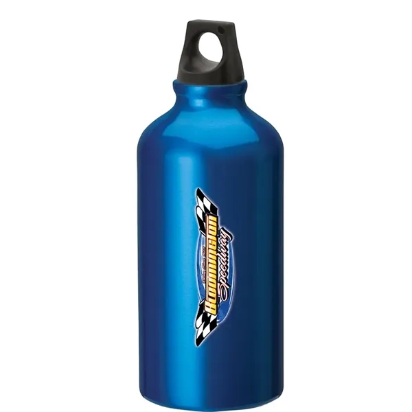 Custom Sonia 16.9 oz. Flask with Twist Top