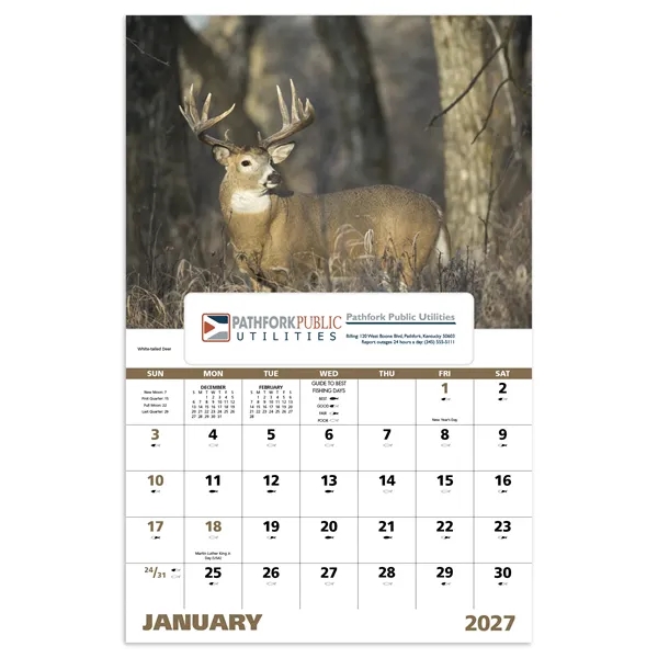 Good Value™ Wildlife Portraits - Window Calendar