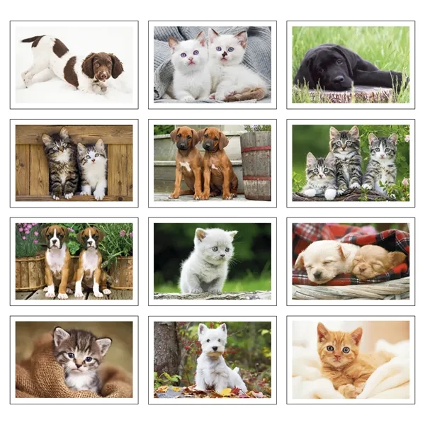 Triumph® Calendars Puppies & Kittens Pocket Calendar