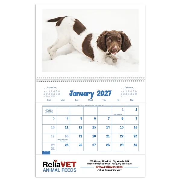 Triumph® Calendars Puppies & Kittens Pocket Calendar