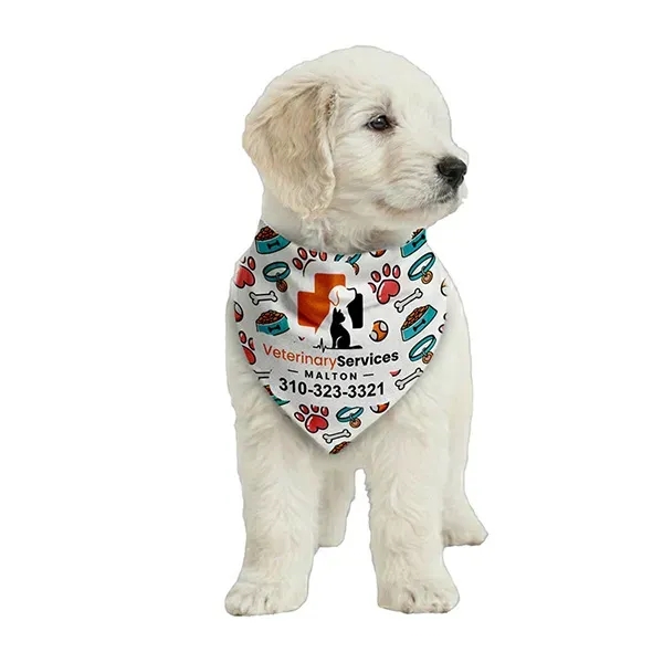 ROVERREADY Pet Bandana
