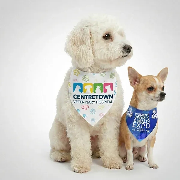 ROVERREADY Pet Bandana (OVERSEAS)