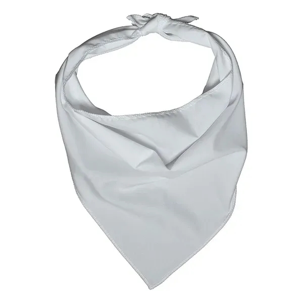 ROVERREADY Pet Bandana (OVERSEAS)