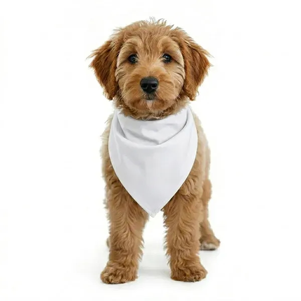 ROVERREADY Pet Bandana (OVERSEAS)