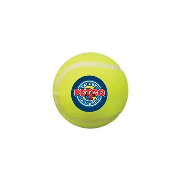 Tennis Ball Dog Toy