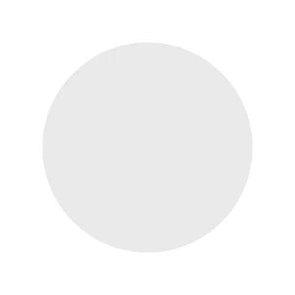 2.5" Round Magnet