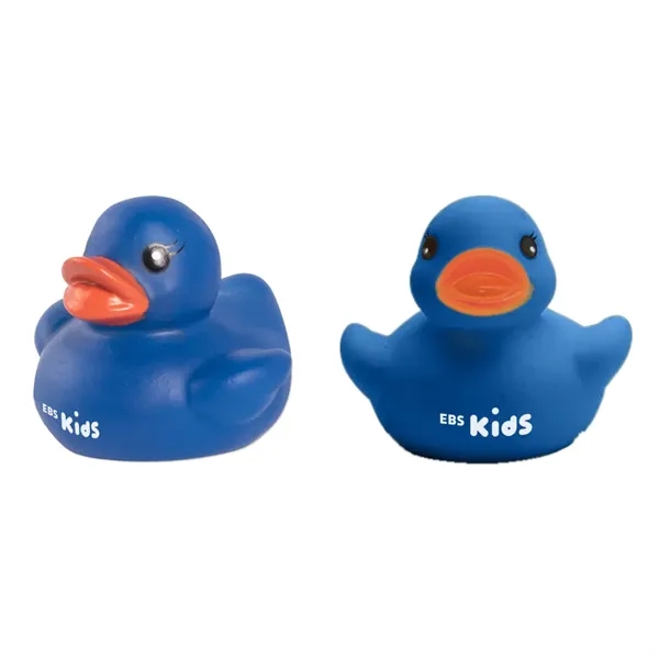 Colorful Duck
