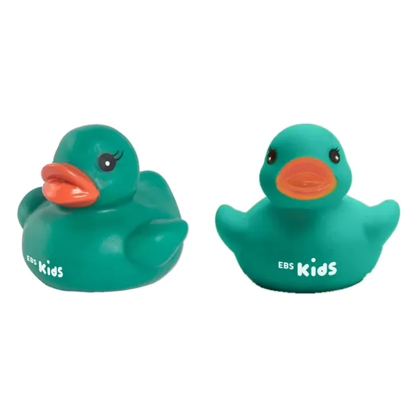 Colorful Duck