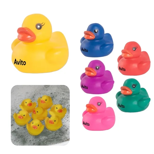 Colorful Duck