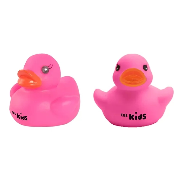 Colorful Duck