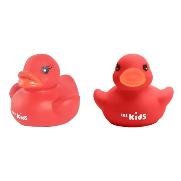 Colorful Duck