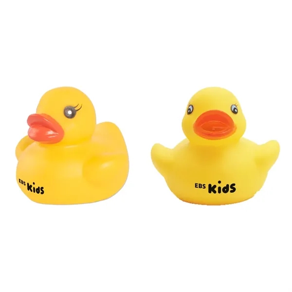 Colorful Duck