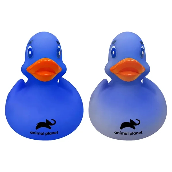 Color Changing Duck