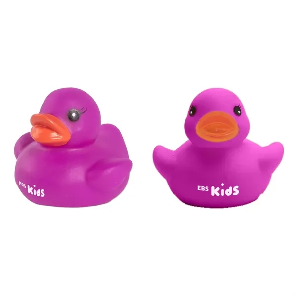 Custom Colorful Duck