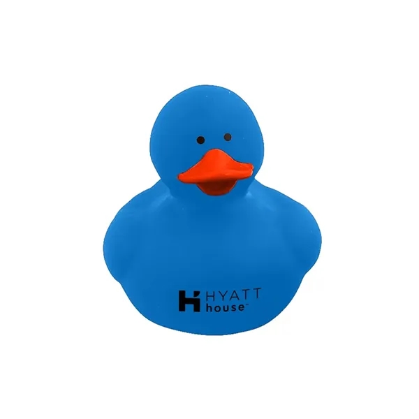 Colorful Duck
