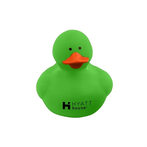 Colorful Duck
