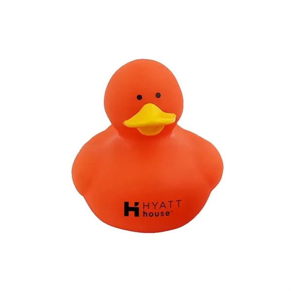Colorful Duck
