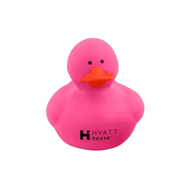 Colorful Duck