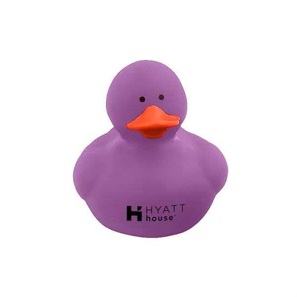 Colorful Duck