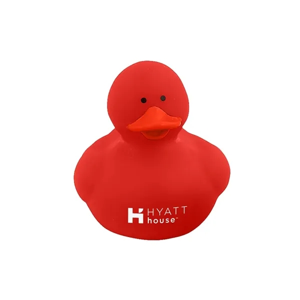 Colorful Duck