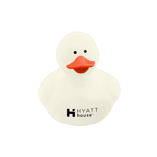 Colorful Duck