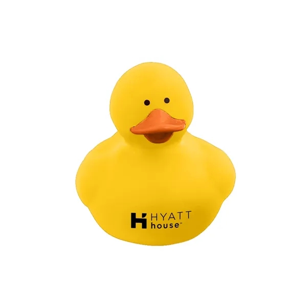 Colorful Duck