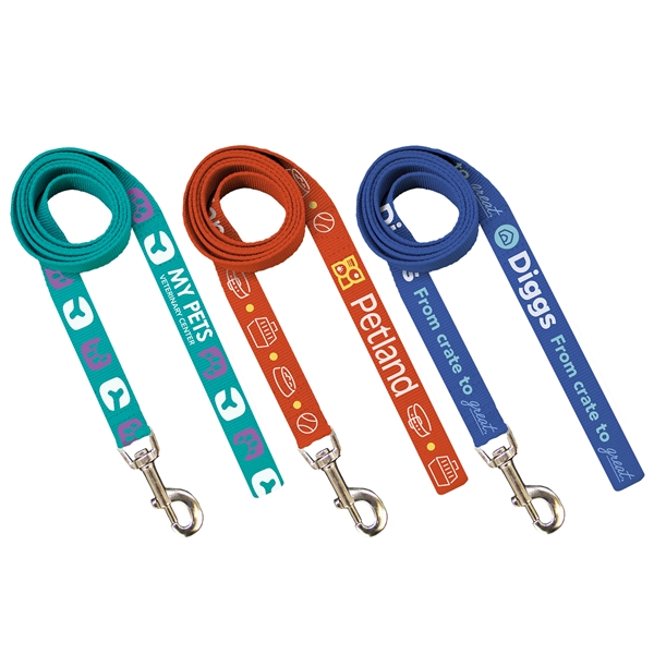 Pantone Matched Leash - Pantone Matched Leash - Image 1 of 6