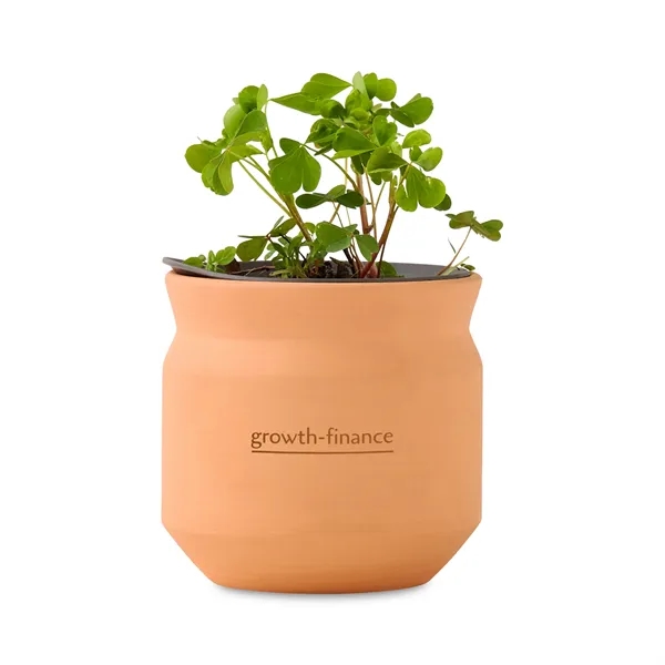 Modern Sprout Tiny Terracotta Lucky to Have You